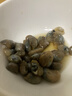 邵万生银标泥螺罐装酒酿醉泥螺老宁波风味腌制海鲜即食下饭下酒菜225g 实拍图