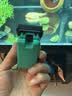 BESSN贝森鱼缸刷磁力刷专用强磁擦玻璃清洗神器小号适用鱼缸30-80CM 实拍图