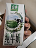 伊利【新鲜日期】金典纯牛奶整箱 200ml*24 3.6g乳蛋白端午礼盒 4-5月 实拍图