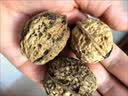 新货云南高原生态核桃薄壳核桃老树山核桃无水洗无漂白薄皮干核桃 大果云南老树薄皮核桃5斤+夹子 实拍图