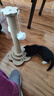 HELLOJOY猫抓柱剑麻猫抓板猫玩具耐抓耐磨不掉屑猫爬架立式自嗨解闷用品 实拍图