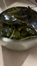 百威啤酒mini红罐淡色拉格255ml*24小罐整箱装京东自营喜酒618畅销 实拍图
