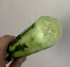 长黄瓜约600g 实拍图