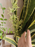 美菱（MeiLing）茶吧机京菱系列 家用饮水机遥控智能【升级抑菌管道】双温双显下置水桶全自动立式泡茶机MY-DA3920 实拍图