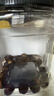 十月稻田 桂圆肉 425g 去壳无核桂圆干 无添加 煲汤泡水补气血 红枣枸杞 实拍图