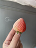 bebebus婴儿睡袋小风车春夏季薄款儿童分腿睡袋短袖宝宝防踢被 M码 实拍图