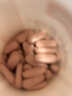 Swisse斯维诗葡萄籽烟酰胺片 热巴同款原花青素维C维E亮肤 180片/瓶 实拍图
