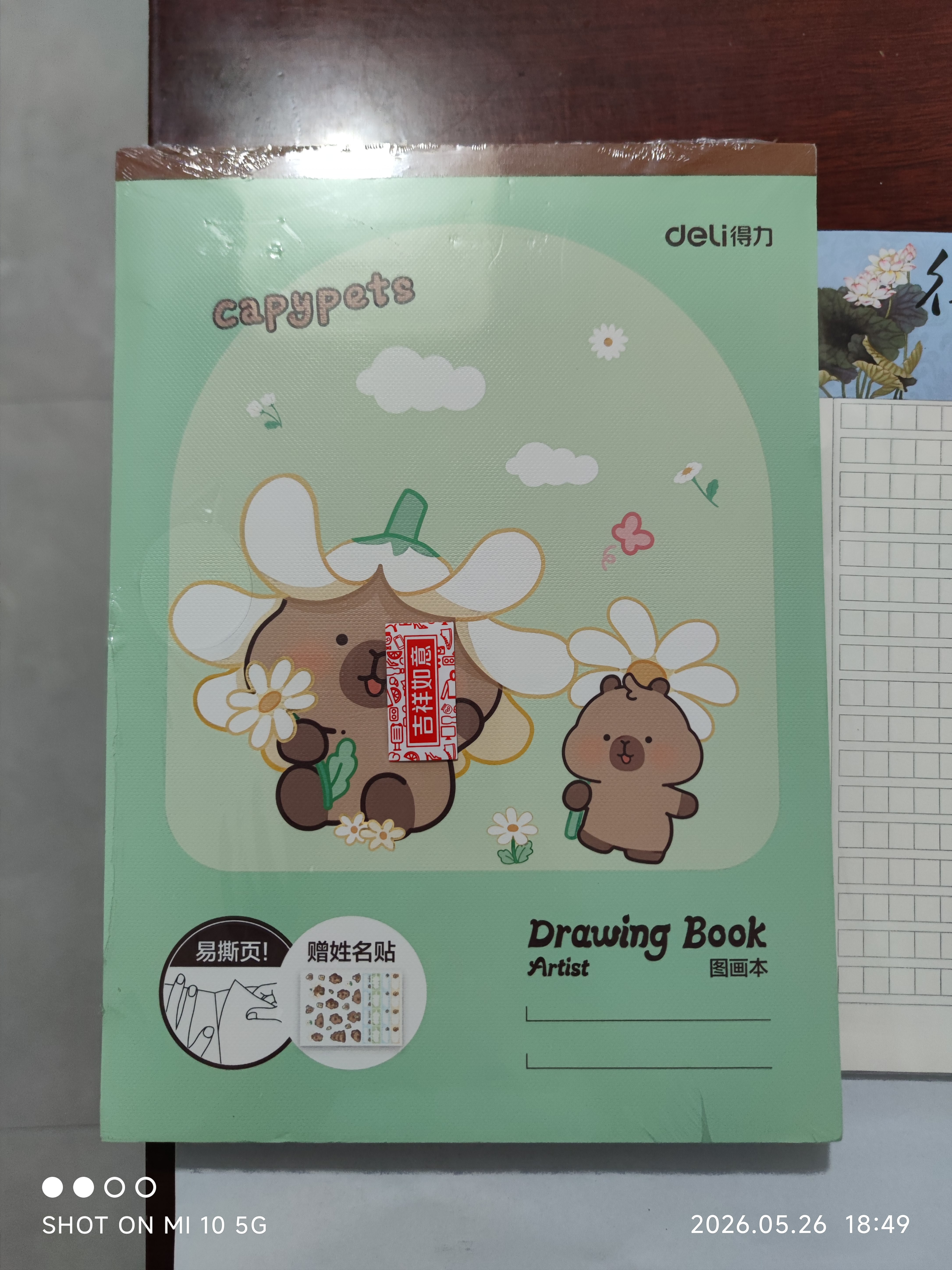 得力（deli）4本装A4卡皮巴拉儿童图画本画画大号手绘涂画本幼儿园小学生加厚白纸胶装本学生开学礼物 BL215 实拍图