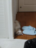 拜达尔硫酸新霉素滴眼液宠物猫咪狗狗眼睛发炎流泪泪痕结膜炎眼药水8ml 实拍图
