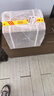 茅台 王子酒 酱香经典（2.0）53度 500ml*6 整箱装（年份随机） 实拍图