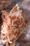 赶海弟鱿鱼片100g手撕风琴鱿鱼丝香烤特产海味零食即食鱿鱼卷办公室零食 实拍图