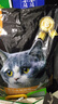 亿迪 冻干猫粮幼猫成猫10斤全价布偶蓝猫英短成年全阶段 实拍图