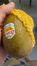 佳沛（zespri）新西兰金果原箱 16粒巨无霸 单果约204-233g 端午节礼物水果礼盒 实拍图
