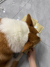 疯狂的主人宠物冰垫凝胶冰凉垫夏季用品狗狗猫用垫子睡觉冰凉坐垫防水降温垫 实拍图