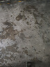 特睿思（TERUISI）开水器商用开水机烧水器电热大容量工厂工地用开水热水机热水器开水桶炉烧水箱 30L/H-220V 晒单实拍图