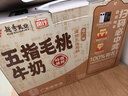 风行牛奶五指毛桃牛奶调制乳200ml*10盒 岭南植萃广东老字号 早餐奶 实拍图