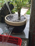 森森耀蓝鱼缸水泵小型潜水泵过滤泵抽水泵YQP-2500 40W 实拍图