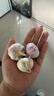 【百万单爆品】紫白皮蒜水果大蒜超市生鲜蔬菜调料即食蒜 【尝鲜】3头50g单果3.5-5cm 实拍图