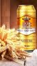 光明啤酒纯生啤酒 9°麦芽浓度 易拉罐整箱装 500mL 12罐 光瓶装 实拍图