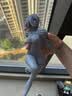 ELEGOO爱乐酷Saturn 4 Ultra 16K土星S4U光固化3d打印机家用桌面级10寸高速高精度3d手办模型学生打印机 土星4U 16K+水星3.0【1kg刚性树脂+手套漏斗+离型膜】 实拍图
