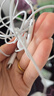 Apple/苹果 EarPods USB-C有线耳机 type-c有线耳机  iPhone 17有线耳机笔记本耳机游戏音乐 实拍图