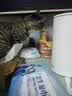 腆宠猫笼猫窝实木猫别墅大号猫咪笼子猫柜猫笼子家用室内猫舍猫屋猫房 实拍图