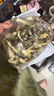 京鲜生云南鹿茸菇干货净重1斤 当季新货脆嫩爽口火锅煲汤小炒源头直发 实拍图