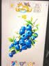 九阳（Joyoung）电磁炉家用超猛火大功率电磁灶火锅炉炒菜家用电池炉AI智能温控新型超薄爆炒一体大面板C22S-N502 实拍图
