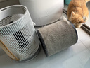 霍尼韦尔（Honeywell）宠物空气净化器吸猫毛除过敏源猫猫搭子 猫毛净化器杀菌消毒除异味KJ360F-C22W 实拍图