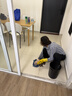 【高洁士】家政保洁服务 日常保洁 深度保洁  专业保洁 上门服务 钟点工 小时工 清洁工  保洁服务 2小时日常保洁 北京/深圳/南京/石家庄/南昌 实拍图