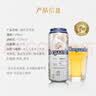 福佳（Hoegaarden）精酿白啤 金奖小麦 百威集团 聚会聚餐 节日送礼 白啤 500mL 12罐 非原箱 小包尝鲜装 晒单实拍图