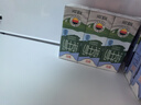 德亚（Weidendorf）德国进口经典脱脂高钙纯牛奶200ml*30学生营养早餐0脂肪 实拍图