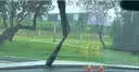 OBOSH欧博士汽车雨刮器本田CRV/12-21款 适配无骨胶条静音雨刷片26/16 实拍图