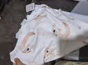 棉加加（Cotton++）2条婴儿包单春秋冬夏新生儿纯棉a类宝宝包巾抱被空调房待产包裹 马上有钱+考拉【A类100%纯棉】2条 85*85cm【产房必备】 实拍图