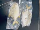 翔泰海南深海金鲳鱼700g2条火锅生鲜鱼类BAP认证 海鲜水产 实拍图