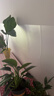 墨斗鱼静电贴墙面保护膜1.2*3m哑光墙纸静电吸附乳胶漆墙壁防脏贴纸 实拍图