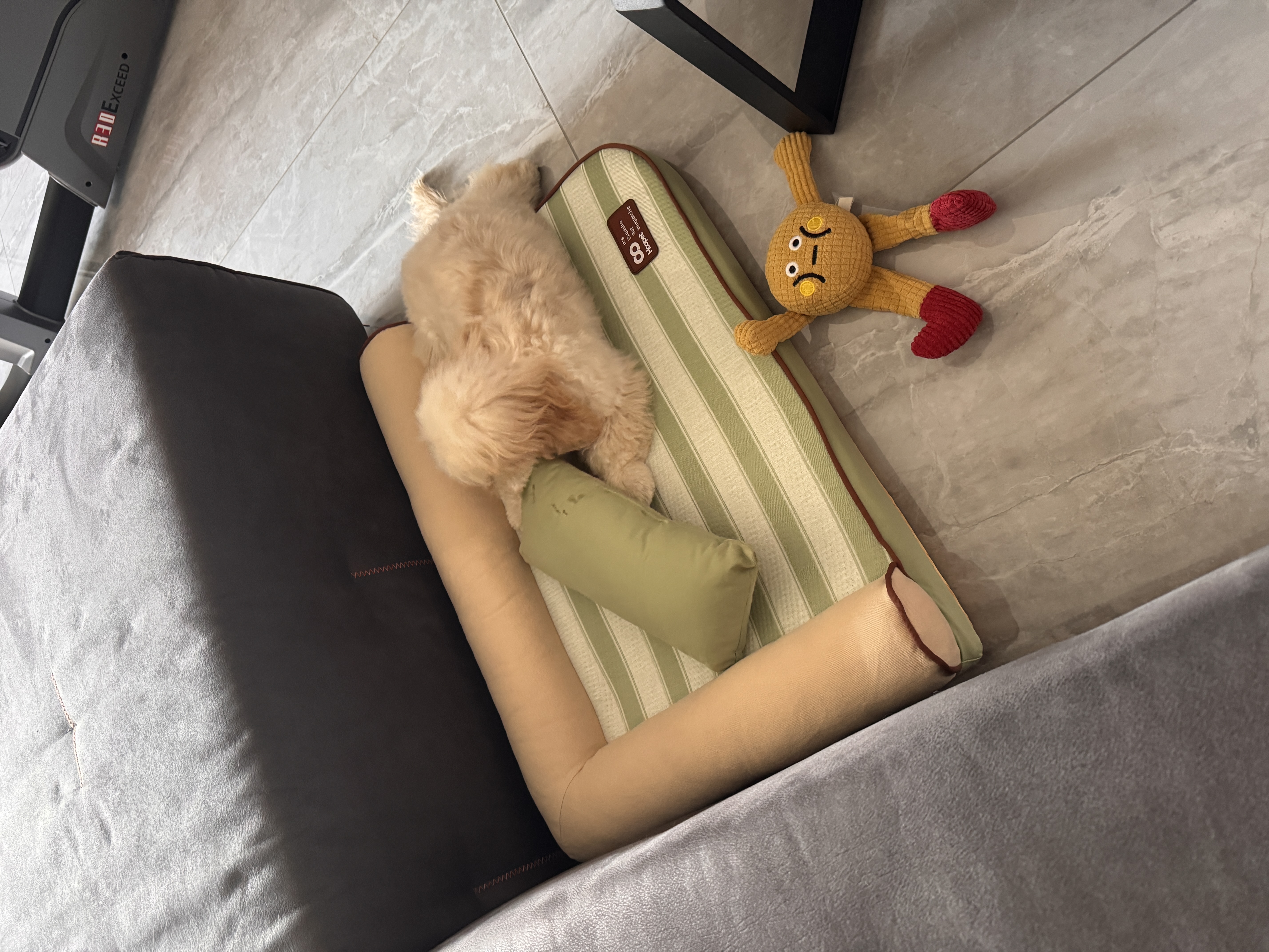 华元宠具（hoopet）夏日凉爽狗窝四季通用全可拆洗夏季中小型犬狗床狗睡窝宠物沙发床 实拍图