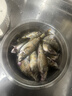 龙王恨（LOONVA）龙王恨野战蓝鲫老版钓鱼饵料老三样饵料正品野钓鱼饵料通杀窝料饵 野战蓝鲫300g【一包】 实拍图