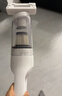 欢宠网宠物狗毛猫毛清理器强力吸尘器吸毛器吸床上猫咪毛发专用电动神器 实拍图