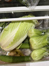 带根香菜100g 实拍图