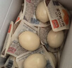 德青源即食卤味溏心蛋15枚600g 卤味熔心蛋 营养早餐 独立包装方便健康 实拍图