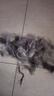 憨憨乐园猫梳子去浮毛宠物猫咪狗狗开结梳子脱毛神器柯基中小型犬刷用品小 实拍图
