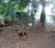 网络眼终身免流量太阳能摄像头监控手机远程免插电360度无死角带夜视户外无线全景防水室外无电无网 实拍图