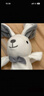 澳贝（auby）婴幼儿玩具小兔安抚巾宝宝哄陪睡神器阿贝贝新生儿玩偶儿童节礼物 实拍图