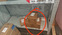京东京造肩颈按摩器P7pro 颈椎按摩器肩颈腰背部按摩仪全身揉捏肩部按摩仪颈部 生日礼物送男女朋友送长辈 实拍图