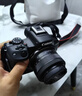 佳能（Canon）r50入门微单相机 小痰盂人像镜头 Vlog拍摄 4K高清视频 自拍照相 学生旅行家用 扫街旅拍套装 实拍图