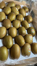 佳沛（zespri）新西兰 金果25-27粒特大单果124-146g 端午礼物水果礼盒 猕猴桃 实拍图