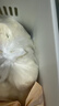 和善园 香辣粉丝豆腐包1.25kg(25只) 速冻包子早饭早点生鲜面点 实拍图