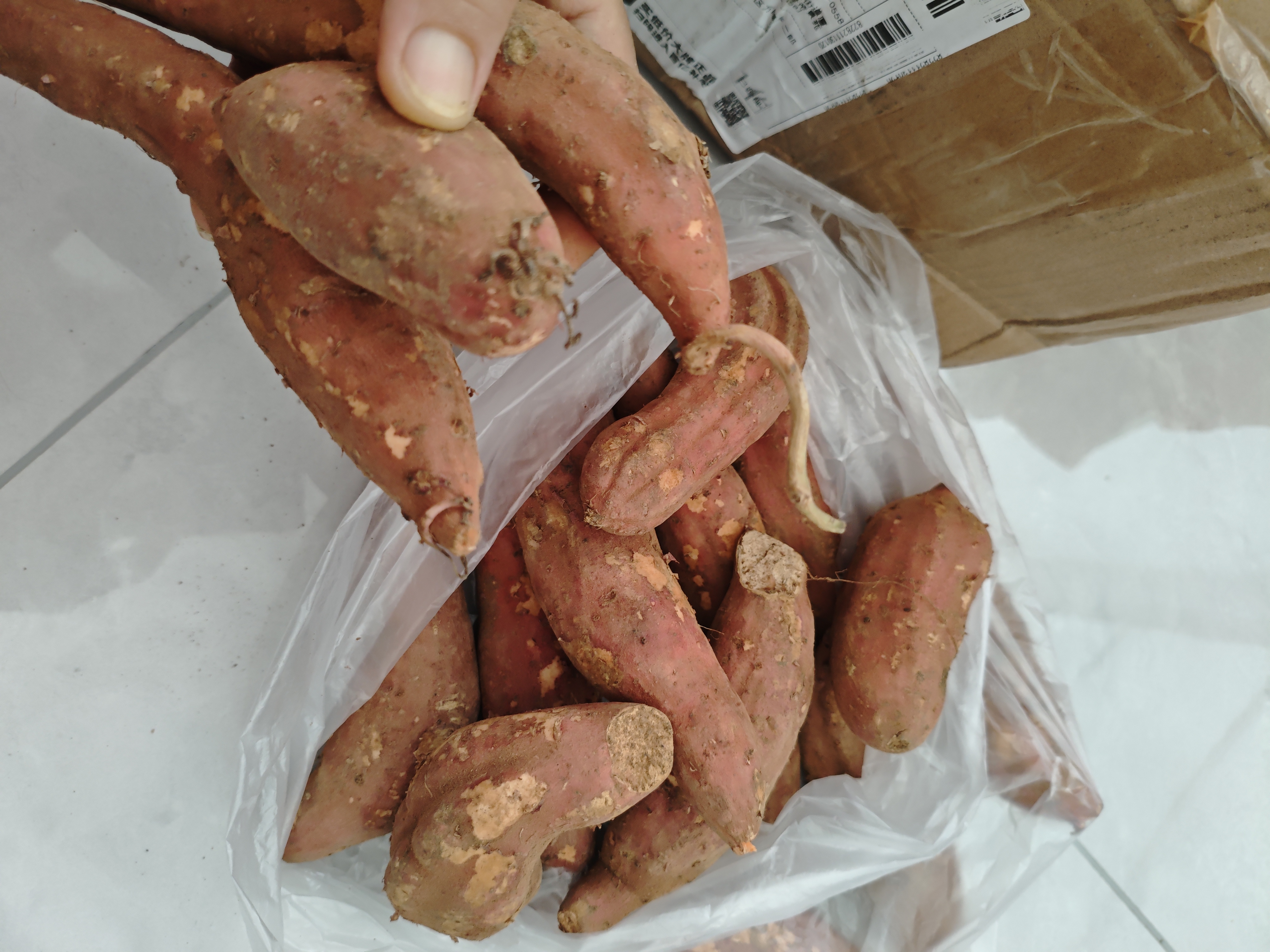 亨泰丰源（HENGTAIFENGYUAN）新鲜红薯 蜜薯鲜挖现发 沙地地瓜 红苕新鲜蔬菜流油地瓜 3斤小果蜜薯 净重 实拍图