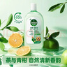 滴露（Dettol）宠物家庭消毒液宠物环境杀菌 猫砂除臭去味 宠物除臭剂消毒水1L*3 实拍图